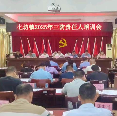 七坊镇召开2025年三防责任人培训会