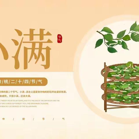 新开地幼儿园“初夏迎小满，万物皆欢喜”——拓印小草主题活动