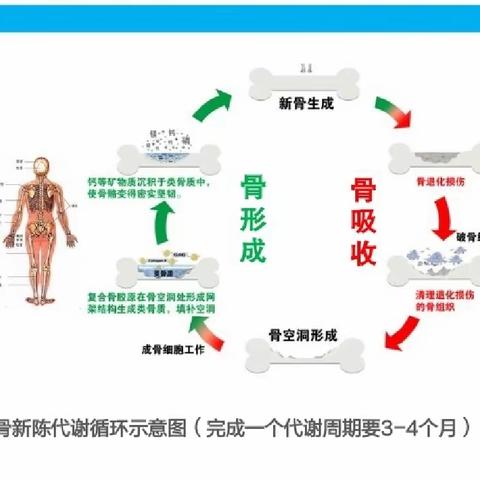 【新项目】临洮县妇幼保健院检验科“骨源性碱性磷酸酶检测”项目正式开展