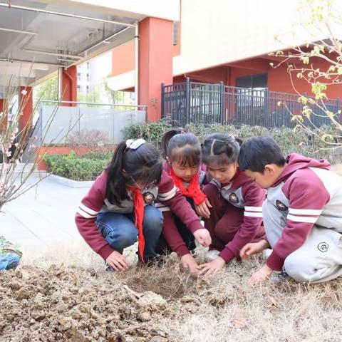 【梅时美刻】育梅——和平小学瑶海湾校区劳动特色课程纪实