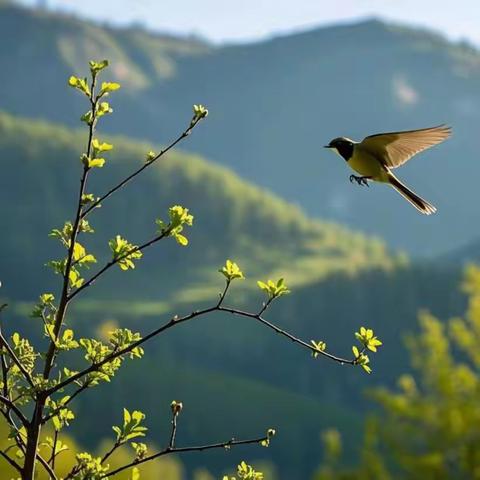 御锦城五期管理处2月份工作简报