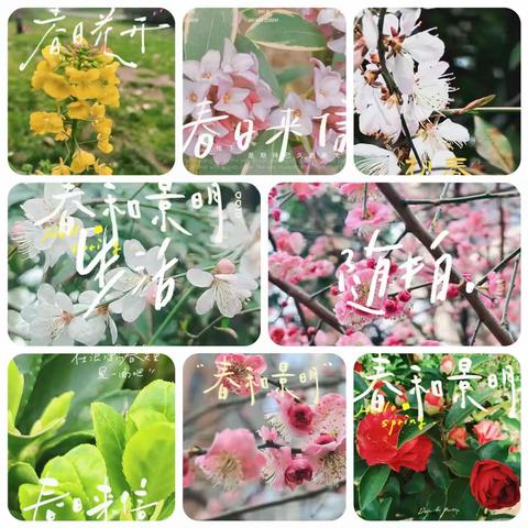 御锦城五期管理处3月份工作简报