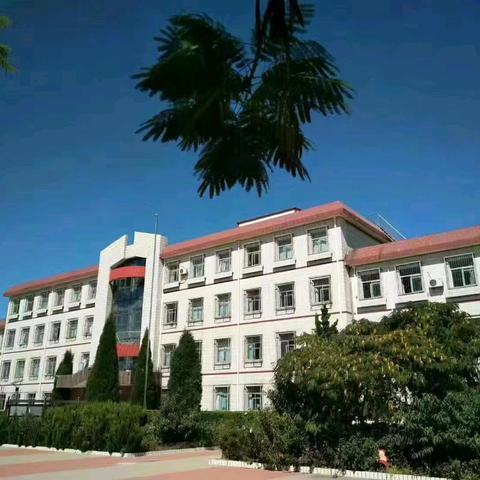 浓情端午 传承文化-徐庄子中学端午系列活动纪实