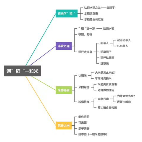 遇“稻”一粒米————大二班班本课程