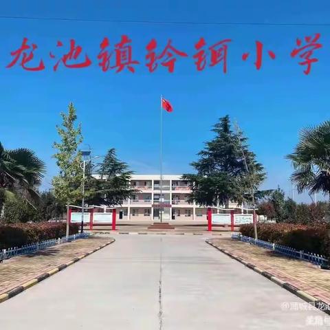 蒲城教育|基层动态 ：向阳而生 筑梦远行——钤铒小学第七周周报