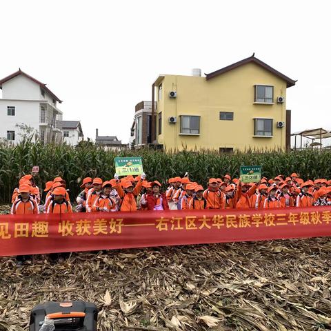 百色市右江区大华民族学校“玉见田趣 收获美好”研学之旅