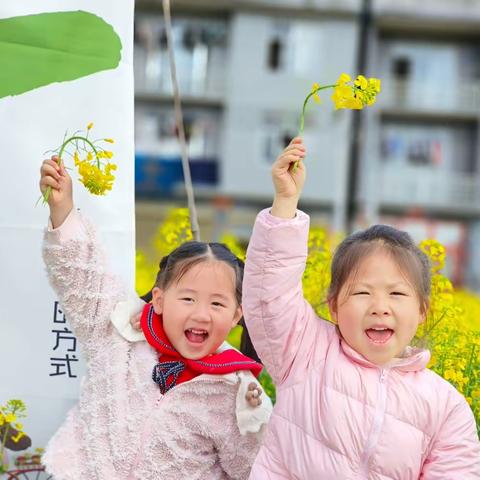 油菜花开·赴一场春日之约——来恩幼儿园中三班自然课程