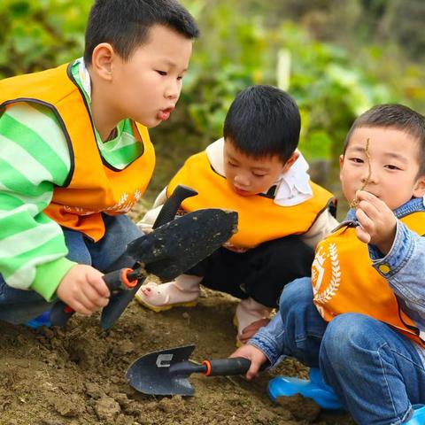 “泥”好有趣 ——来恩幼儿园大三班 自然课程