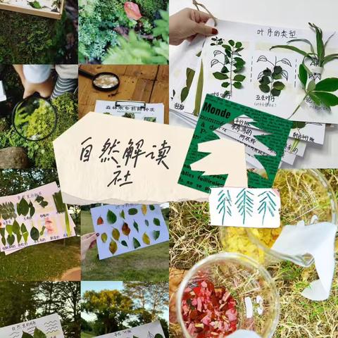 上云桥中学初中部课后服务社团招新啦！