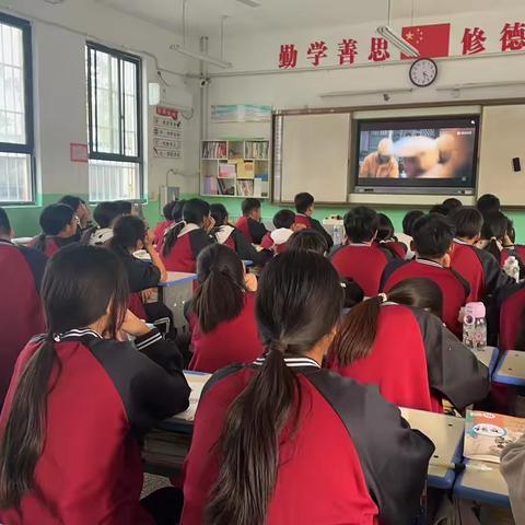 电影赏析社团（八年级）