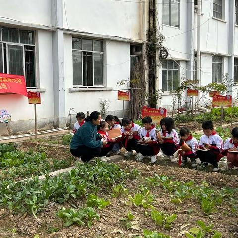 钦州市第十九小学的实践活动