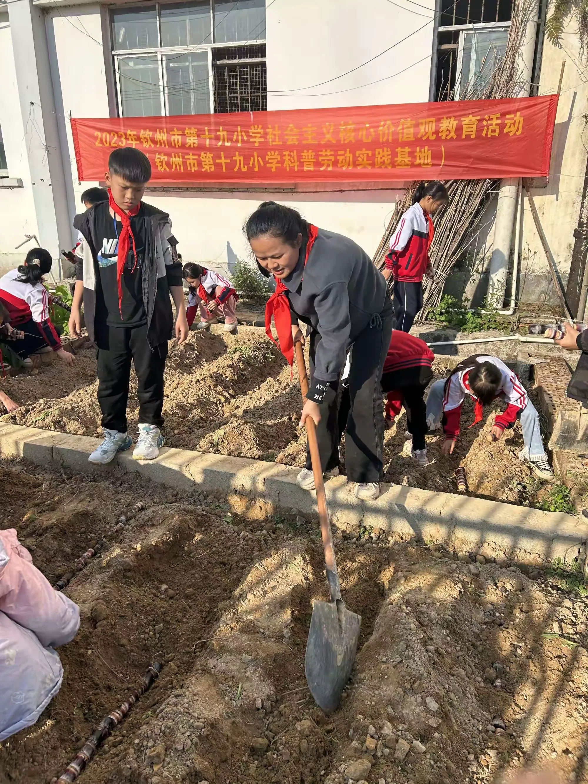 相信,在钦州市第十九小学全体师生的共同努力下甘蔗种植项目必定能够