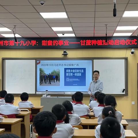 钦州市第十九小学的简篇