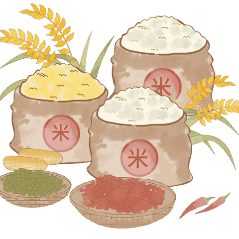 【和美中心园·班本课程】遇见一“粒”米——经开区中心幼儿园中一班班本课程