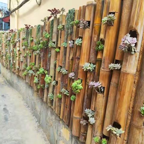 百花含春意  山水寄浓情