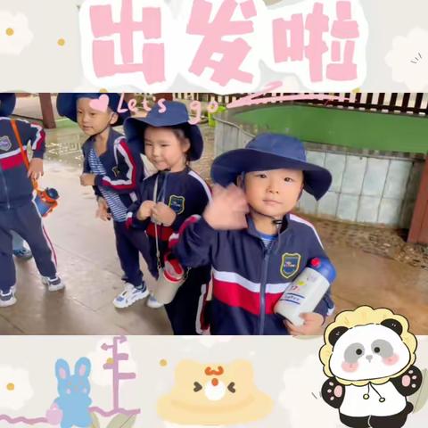 考拉1班本周美篇