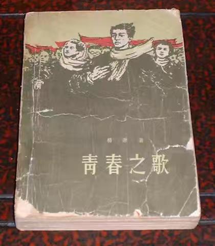 《青春之歌》读后感