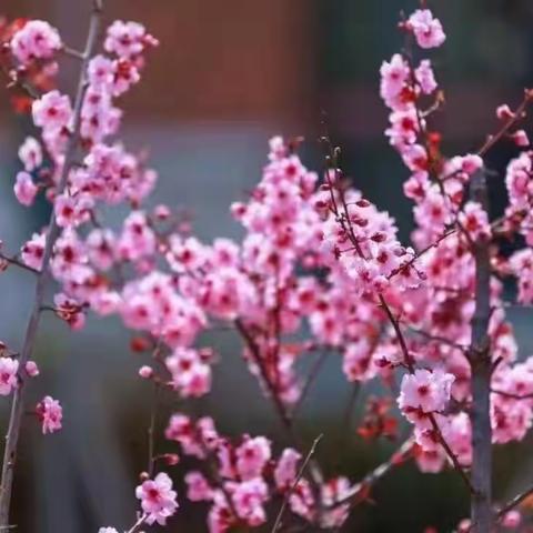 魅力兴濮，文明你我