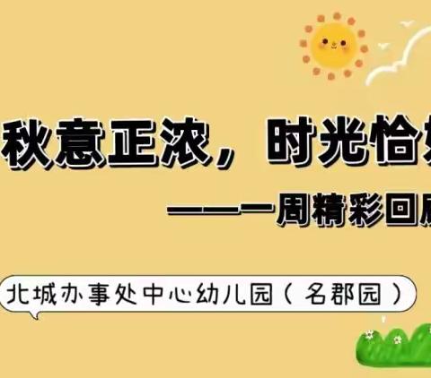 【秋意正浓🍂，时光恰好🌸】--北城办事处中心幼儿园（名郡园）（2023.10.23--2023.10.27）一周精彩回顾