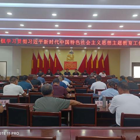 大口镇召开学习贯彻习近平新时代中国特色社会主义思想主题教育工作会议