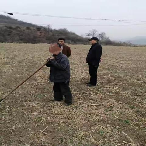 观台镇重拳出击坚决遏制露天焚烧