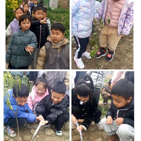 幼儿园里的那些小美好大二班