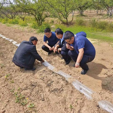 办公室分管领导深入包联村督导调研