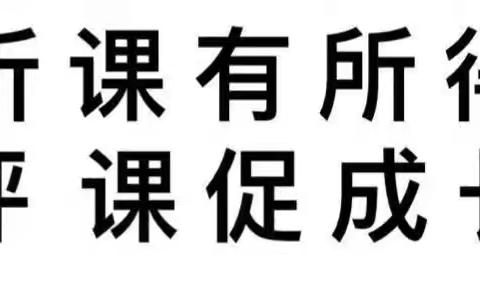 “教以共进 研以致远”——北集坡街道办事处中心幼儿园听评课活动