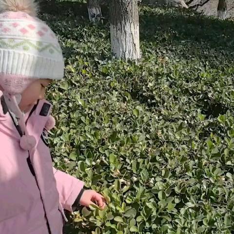 雨水落 万物生二十四节气——雨水