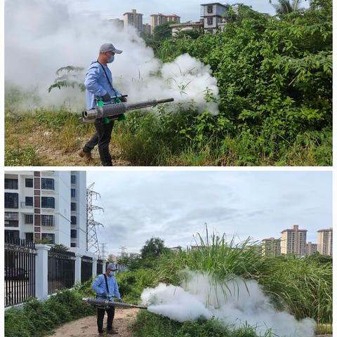 开展小区登革热预防行动，降低小区媒蚊密度