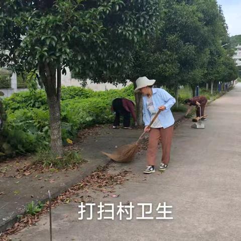 枧田街乡人居环境整治工作月报