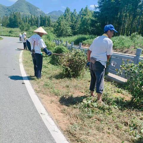 枧田街乡人居环境整治工作月报