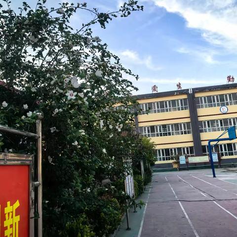 2024年永年区第十三中学暑期教师集中学习培训