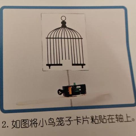 科学小实验——小鸟回家