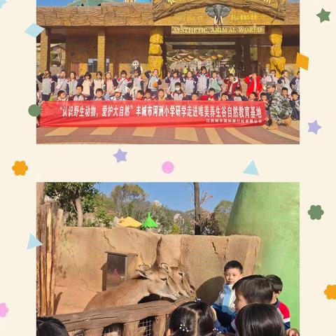 河洲小学2025年秋季研学活动：探索自然与文化的成长之旅