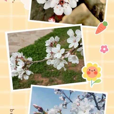【园林中心东山】春有约  花不误