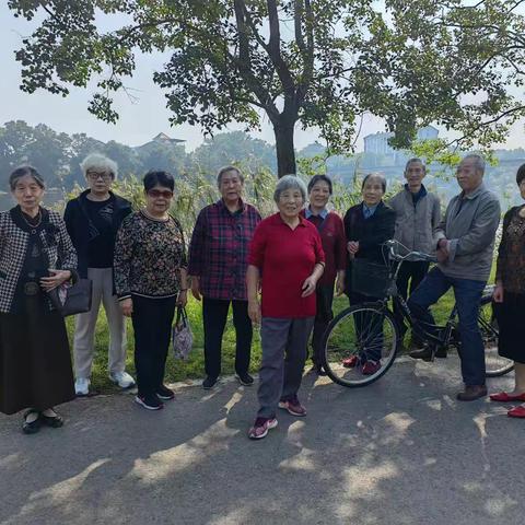 九九登高节，好运常相伴