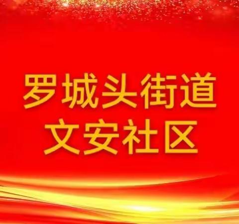 罗城头街道文安社区开展“聚焦全年创佳绩，下沉一线建新功”为主题的“13号之声”党日活动。