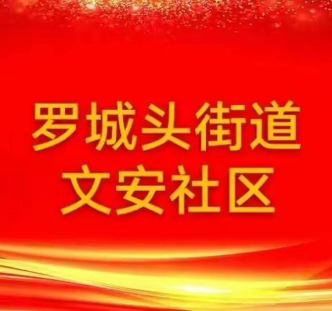 罗城头街道文安社区开展“攻坚克难显担当、 干部下沉在一线”为主题的“13号之声”党日活动。