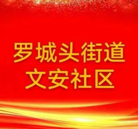 罗城头街道文安社区开展以“学习全国‘两会’ 精神，下沉一线服务基层”为主题的“13号之声”党日活动。