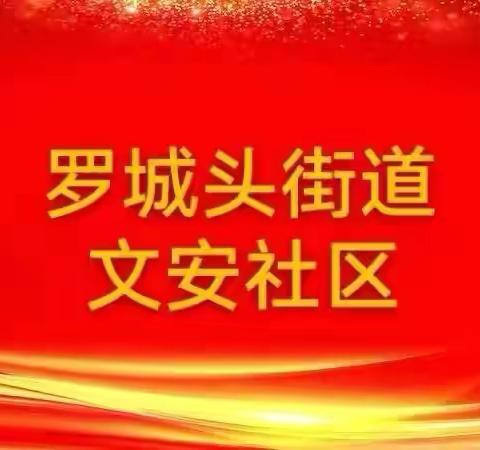 罗城头街道文安社区开展第十五个民族团结进步宣传活动