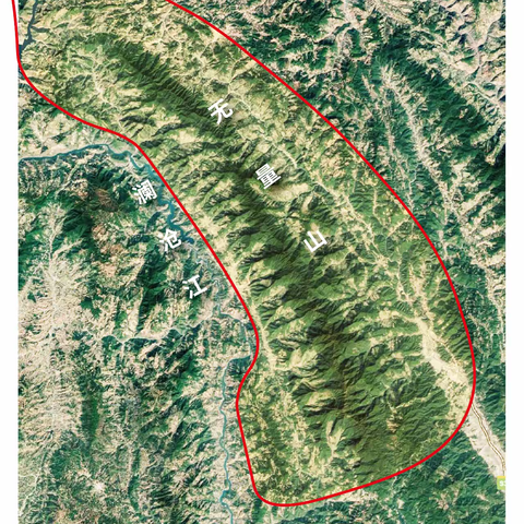 无量山做白茶为什么会更好？
