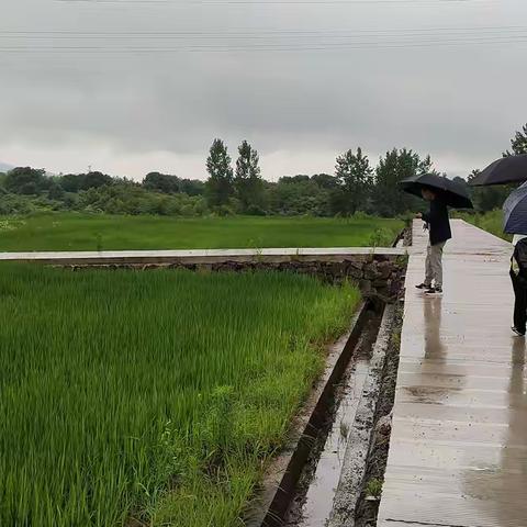 整治中心组织专家进行土地整治项目评审