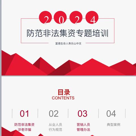 岁末年初过佳节 紧紧捂住辛苦钱——富德生命人寿乐山中支防范非法集资宣传