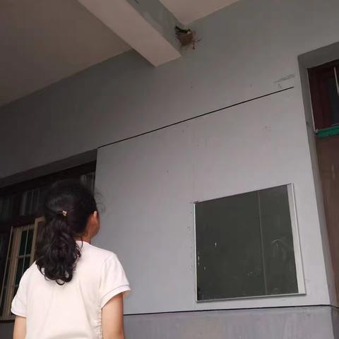 幼儿园秦岭生态保护宣传活动总结