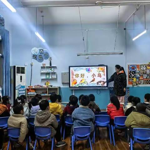 幼儿园12月爱鸟护鸟主题活动纪实