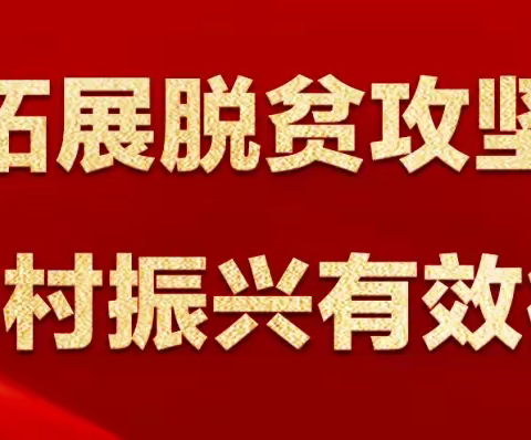 推行“3741”分类机制，提升巩固衔接工作成效