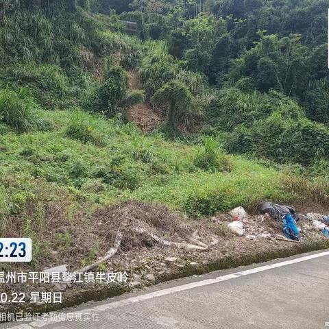 瑞安市边界交接线曹村镇钱马线南堡村路段沿线道路两侧环境整治