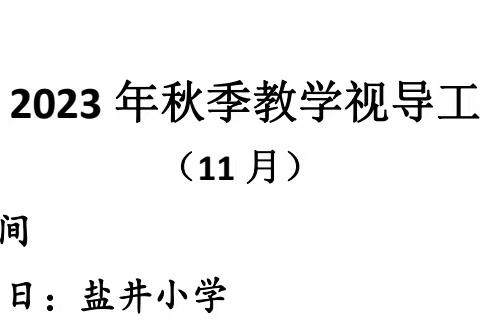 教学视导把脉问诊 对标对表整改推进 ——县教科所、城区教育督导组莅临盐井小学指导工作