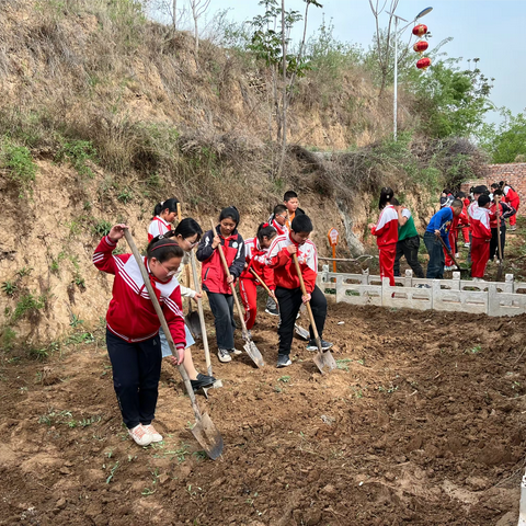 “劳”以启智，“动”以润心——子美小学春季劳动实践活动